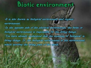 Environment | PPTX
