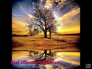   Real Illusions Reflections 