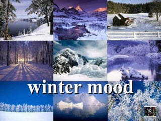 winter mood 