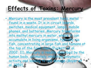 Effects of Toxins: Mercury
• Mercury is the most prevalent toxic metal
found in e-waste. It is in circuit boards,
switches, medical equipment, lamps, mobile
phones, and batteries. Mercury transforms
into methyl mercury in water, where it can
accumulate in living organisms, typically via
fish, concentrating in large fish and humans at
the top of the food chain (Puckett et al.
2002: 11). Mercury is readily absorbed by the
human body, ultimately inhibiting enzymatic
activity and leading to cell damage (Boyer et
al. 1959).

 