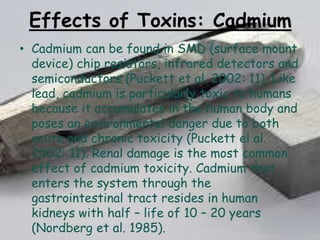 Effects of Toxins: Cadmium
• Cadmium can be found in SMD (surface mount
device) chip resistors, infrared detectors and
semiconductors (Puckett et al. 2002: 11). Like
lead, cadmium is particularly toxic to humans
because it accumulates in the human body and
poses an environmental danger due to both
acute and chronic toxicity (Puckett el al.
2002: 11). Renal damage is the most common
effect of cadmium toxicity. Cadmium that
enters the system through the
gastrointestinal tract resides in human
kidneys with half – life of 10 – 20 years
(Nordberg et al. 1985).

 