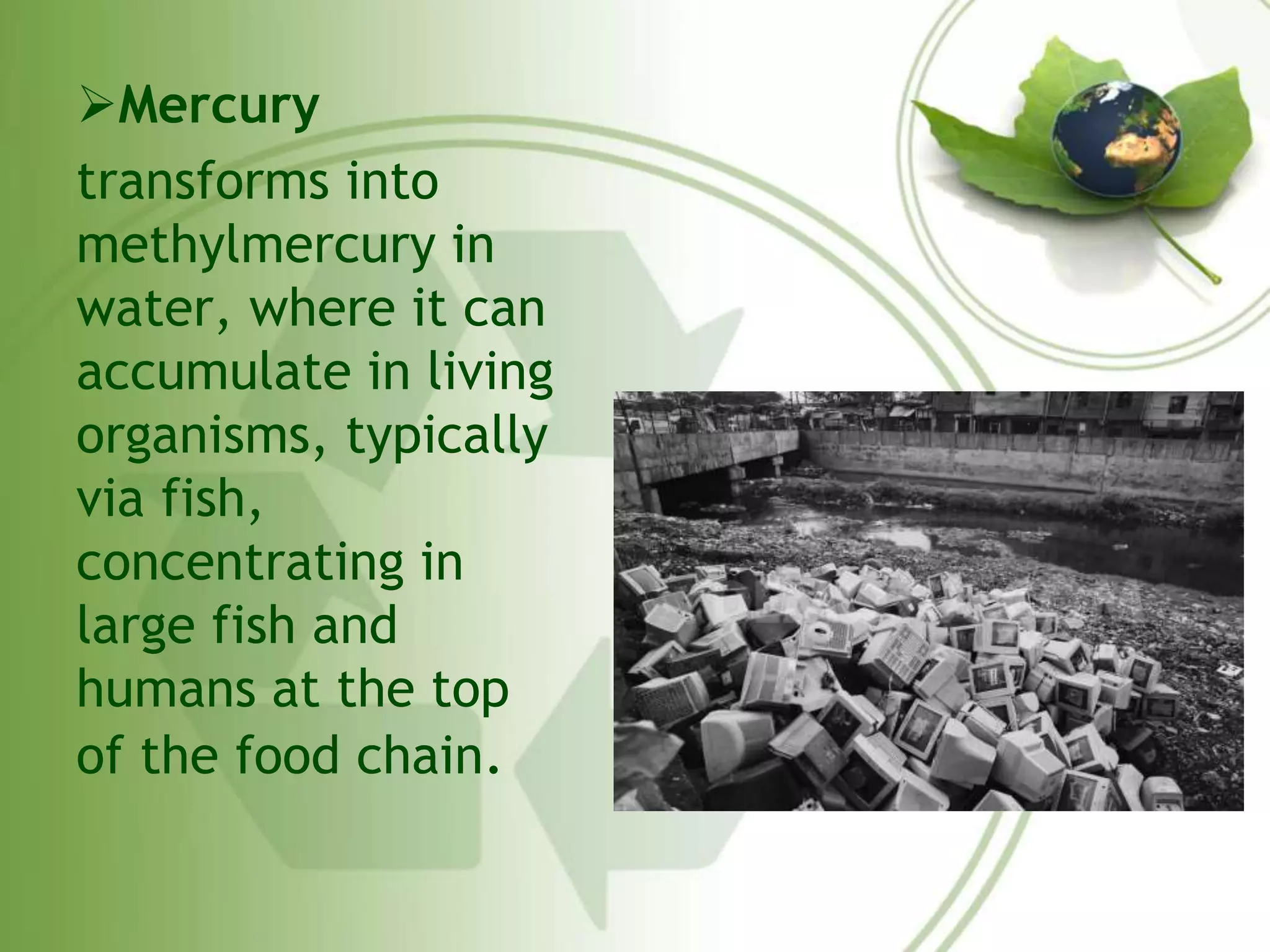 Mercury 
transforms into 
methylmercury in 
water, where it can 
accumulate in living 
organisms, typically 
via fish, 
concentrating in 
large fish and 
humans at the top 
of the food chain. 
 