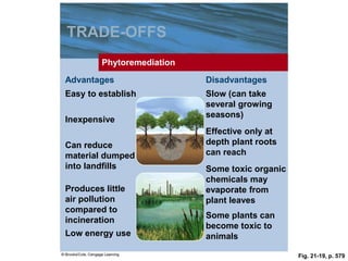 Fig. 21-19, p. 579
TRADE-OFFS
Phytoremediation
Advantages Disadvantages
Easy to establish Slow (can take
several growing
seasons)
Inexpensive
Effective only at
depth plant roots
can reach
Can reduce
material dumped
into landfills Some toxic organic
chemicals may
evaporate from
plant leaves
Produces little
air pollution
compared to
incineration
Some plants can
become toxic to
animals
Low energy use
 
