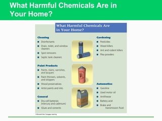 What Harmful Chemicals Are in
Your Home?
 