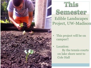 Edible Landscapes 
Project, UW-Madison 
• This project will be on 
campus!! 
• Location: 
By the tennis courts 
on lake shore next to 
Cole Hall 
 