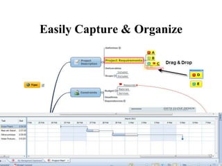 Easily Capture & Organize




                            14
 