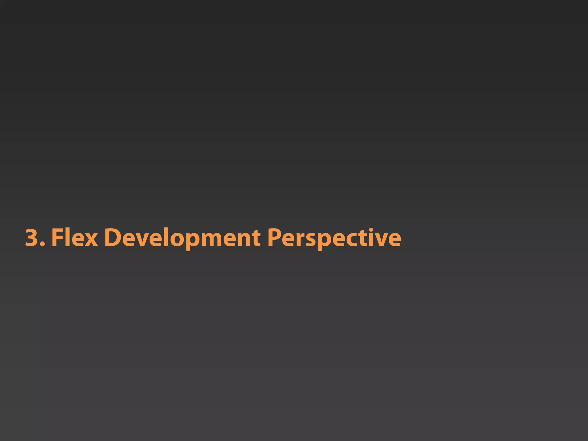 3. Flex Development Perspective
 