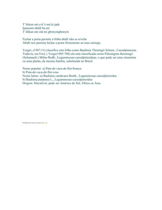 T’ilekun mó o k’ó má le jade
Ìpanumó abàfé ba mi
T’ilëkun mó otá mi gbonyingbonyin
Fechar a porta permite à folha abàfé não se revelar
Abàfé nos permita fechar a porta firmemente ao meu inimigo.
Verger, (1967:11) classifica esta folha como Bauhinia Thoningii Schum., Caesalpinaceae.
Todavia, em Ewé, ( Verger1995:708) ela está classificada como Piliostigma thonningii
(Schumach.) Milne-Redh., Leguminosae-caesalpinioideae, o que pode ser uma sinonímia
ou uma planta, da mesma família, substituída no Brasil.
Nome popular: a) Pata-de-vaca-de-flor-branca
b) Pata-de-vaca-de-flor-rosa
Nome latino: a) Bauhinia candicans Benth., Leguminosae-caesalpinioidea
b) Bauhinia purpurea L., Leguminosae-caesalpinioidea
Origem: Discutível, pode ser América do Sul, África ou Ásia.
Postado por Eduardo Abiodun às 21:04
 