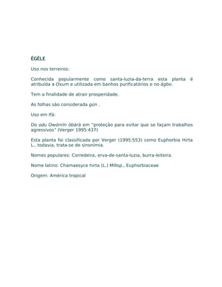 ÈGÉLE
Uso nos terreiros:
Conhecida popularmente como santa-luzia-da-terra esta planta é
atribuída a Oxum e utilizada em banhos purificatórios e no àgbo.
Tem a finalidade de atrair prosperidade.
As folhas são considerada gún .
Uso em Ifá:
Do odu Owónrín òbàrà em “proteção para evitar que se façam trabalhos
agressivos” (Verger 1995:437)
Esta planta foi classificada por Verger (1995:553) como Euphorbia Hirta
L., todavia, trata-se de sinonímia.
Nomes populares: Corredeira, erva-de-santa-luzia, burra-leiteira.
Nome latino: Chamaesyce hirta (L.) Millsp., Euphorbiaceae
Origem: América tropical
 