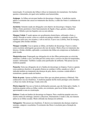 tumorização. O cozimento das folhas é eficaz no tratamento do reumatismo. Em banhos
quentes e demorados, de igual sorte também cura hemorróidas.
Jenipapo: As folhas servem para banhos de descarrego e limpeza. A medicina caseira
aplica o cozimento das cascas no tratamento das úlceras, o caldo dos frutos é combatente de
hidropsia.
Jurubeba: Somente usada em obrigações com objetivo de descarrego e limpeza. Suas
folhas e frutos permitem o bom funcionamento do fígado e baço, garante a sabedoria
popular. Debela e previne hepatite com ou sem edemas.
Mangue Cebola: É usado apenas em sacudimentos domiciliares, utilizando o fruto, a
cebola. Procede-se assim: corta-se a cebola em pedaços miúdos e, cantando-se para Exu,
espalha-se pela casa, nos recantos, e sob os móveis. O povo usa a cebola, fruto do mangue,
esmagada sobre feridas rebeldes.
Mangue vermelho: Usa-se apenas as folhas, em banhos de descarrego. O povo a indica
como excelente adstringente que possui alto teor de tanino. Muito eficaz no tratamento das
úlceras e feridas rebeldes, aplicando o cozimento das folhas em compressas ou banhando a
parte lesada.
Manjericão-roxo: Empregado nas obrigações de ori dos filhos pertencentes ao orixá das
endemias. Colhido e seco, sua folha previne contra raios e coriscos em dias de tempestades,
usando o defumador. Também é usada como purificador de ambiente. Não possui uso na
medicina popular.
Panacéia: Entra nas obrigações de ori e banhos de descarrego ou limpeza. O povo a aponta
como poderoso diurético e de grande eficácia no combate à sífilis, usando-se o chá. É
indicada também no tratamento das doenças de pele, darros, eczemas e ainda debela o
reumatismo, quando usada em banhos.
Picão da praia: Apenas na Bahia ouvimos falar que esta planta pertence a Obaluaiê. Não
conhecemos seu uso ritualístico. A medicina popular dá-lhe muito prestígio como diurético
e eficaz nos males da bexiga. Usada como chá.
Piteira imperial: Seu uso se limita às defumações pessoais, que são feitas após o banho. A
medicina popular utiliza as folhas verdes, em cozimento, para lavar feridas rebeldes,
aproximando a cura ou cicatrização.
Quitoco: Usada em banhos de descarrego ou limpeza. Para a medicina popular esta erva
resolve males do estômago, tumores e abscessos. Internamente é usado o chá, nos tumores
aplica-se as folhas socadas. Muito utilizada nas doenças de senhoras.
Sabugueiro: Não possui uso ritualístico. É decisiva no tratamento das doenças eruptivas:
sarampo, catapora e escarlatina. O cozimento das flores é excelente para a brotação do
sarampo.
 