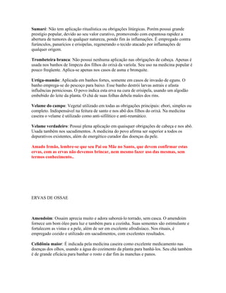 Sumaré: Não tem aplicação ritualística ou obrigações litúrgicas. Porém possui grande
prestígio popular, devido ao seu valor curativo, promovendo com espantosa rapidez a
abertura de tumores de qualquer natureza, pondo fim às inflamações. É empregado contra
furúnculos, panarícios e erisipelas, regenerando o tecido atacado por inflamações de
qualquer origem.
Trombeteira branca: Não possui nenhuma aplicação nas obrigações de cabeça. Apenas é
usada nos banhos de limpeza dos filhos do orixá da varíola. Seu uso na medicina popular é
pouco freqüente. Aplica-se apenas nos casos de asma e bronquite.
Urtiga-mamão: Aplicada em banhos fortes, somente em casos de invasão de eguns. O
banho emprega-se do pescoço para baixo. Esse banho destrói larvas astrais e afasta
influências perniciosas. O povo indica esta erva na cura de erisipela, usando um algodão
embebido do leite da planta. O chá de suas folhas debela males dos rins.
Velame do campo: Vegetal utilizado em todas as obrigações principais: ebori, simples ou
completo. Indispensável na feitura de santo e nos abô dos filhos do orixá. Na medicina
caseira o velame é utilizado como anti-sifilítico e anti-reumático.
Velame verdadeiro: Possui plena aplicação em quaisquer obrigações de cabeça e nos abô.
Usada também nos sacudimentos. A medicina do povo afirma ser superior a todos os
depurativos existentes, além de energético curador das doenças da pele.
Amado Irmão, lembre-se que seu Pai ou Mãe no Santo, que devem confirmar estas
ervas, com as ervas não devemos brincar, nem mesmo fazer uso das mesmas, sem
termos conhecimento..
ERVAS DE OSSAE
Amendoim: Ossaim aprecia muito e adora saboreá-lo torrado, sem casca. O amendoim
fornece um bom óleo para luz e também para a cozinha. Suas sementes são estimulante e
fortalecem as vistas e a pele, além de ser em excelente afrodisíaco. Nos rituais, é
empregado cozido e utilizado em sacudimentos, com excelentes resultados.
Celidônia maior: É indicada pela medicina caseira como excelente medicamento nas
doenças dos olhos, usando a água do cozimento da planta para banhá-los. Seu chá também
é de grande eficácia para banhar o rosto e dar fim às manchas e panos.
 
