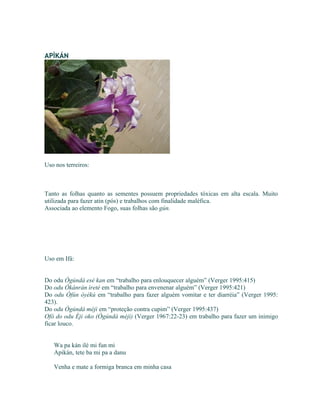APÌKÁN
Uso nos terreiros:
Tanto as folhas quanto as sementes possuem propriedades tóxicas em alta escala. Muito
utilizada para fazer atin (pós) e trabalhos com finalidade maléfica.
Associada ao elemento Fogo, suas folhas são gún.
Uso em Ifá:
Do odu Ògúndá esè kan em “trabalho para enlouquecer alguém” (Verger 1995:415)
Do odu Òkànràn ìretè em “trabalho para envenenar alguém” (Verger 1995:421)
Do odu Òfún òyèkú em “trabalho para fazer alguém vomitar e ter diarréia” (Verger 1995:
423).
Do odu Ògúndá méjì em “proteção contra cupim” (Verger 1995:437)
Ofò do odu Éji oko (Ògúndá méjì) (Verger 1967:22-23) em trabalho para fazer um inimigo
ficar louco.
Wa pa kán ilé mi fun mi
Apikán, tete ba mi pa a danu
Venha e mate a formiga branca em minha casa
 