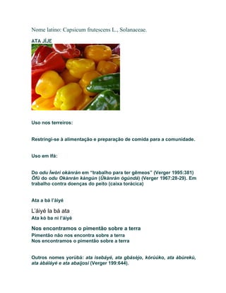 Nome latino: Capsicum frutescens L., Solanaceae.
ATA JÍJE
Uso nos terreiros:
Restringi-se à alimentação e preparação de comida para a comunidade.
Uso em Ifá:
Do odu Ìwòrì okànràn em “trabalho para ter gêmeos” (Verger 1995:381)
Öfû do odu Okànràn kàngún (Ûkànràn ògúndá) (Verger 1967:28-29). Em
trabalho contra doenças do peito (caixa torácica)
Ata a bá l’áiyé
L’áiyé la bá ata
Ata kò ba ni l’áiyé
Nos encontramos o pimentão sobre a terra
Pimentão não nos encontra sobre a terra
Nos encontramos o pimentão sobre a terra
Outros nomes yorùbá: ata ìsebáyé, ata gbásèjo, kórùúko, ata àbùrekù,
ata àbáláyé e ata abaìjosi (Verger 199:644).
 
