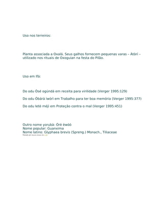 Uso nos terreiros:
Planta associada a Oxalá. Seus galhos fornecem pequenas varas – Àtòrí –
utilizado nos rituais de Oxoguian na festa do Pilão.
Uso em Ifá:
Do odu Òsé ogúndá em receita para virilidade (Verger 1995:129)
Do odu Òbárá ìwòrì em Trabalho para ter boa memória (Verger 1995:377)
Do odu Ietè méjì em Proteção contra o mal (Verger 1995:451)
Outro nome yorubà: Òrè èwòò
Nome popular: Guanxima
Nome latino: Glyphaea brevis (Spreng.) Monach., Tiliaceae
Postado por Eduardo Abiodun às 11:54
 