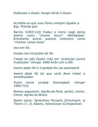 Dedicada a Oxalá, Xangô (Airá) e Oxum.
Acredita-se que suas flores estejam ligadas a
Èsù. Plantas gún.
Barros (1993:110) traduz o nome nagô desta
planta como “chama louco” (Wèrèpèpe).
Entretanto outros autores traduzem como
“chamar coisas boas”
Uso em Ifá:
Usada nas iniciações de Ifá.
Citado no odú Òyekú méjì em “proteção contra
maldições” (Verger 1995:443) com o öfö:
Awere pèpè ifá ni ó pelépè fún wa awerepèrè
Awere pèpè ifá diz que vecê deve matar o
amaldiçoador.
Outro nome yorùbá: Ewerepèpè. (Verger
1995:723)
Nomes populares: Agrião-do-Pará, jambú, treme-
treme, agrião-do-Brasil.
Nome latino: Spilanthes filicaulis (Schumach. &
Thonn.) C. D. Adams, Asteraceae (Compositae)
 