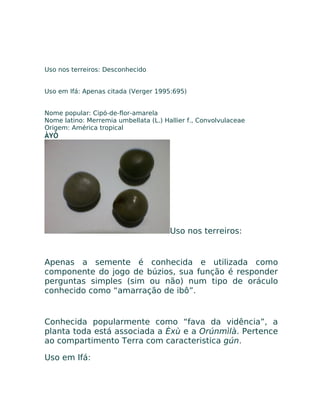 Uso nos terreiros: Desconhecido
Uso em Ifá: Apenas citada (Verger 1995:695)
Nome popular: Cipó-de-flor-amarela
Nome latino: Merremia umbellata (L.) Hallier f., Convolvulaceae
Origem: América tropical
ÀYÒ
Uso nos terreiros:
Apenas a semente é conhecida e utilizada como
componente do jogo de búzios, sua função é responder
perguntas simples (sim ou não) num tipo de oráculo
conhecido como “amarração de ibô”.
Conhecida popularmente como “fava da vidência”, a
planta toda está associada a Èxù e a Orúnmìlà. Pertence
ao compartimento Terra com caracteristica gún.
Uso em Ifá:
 