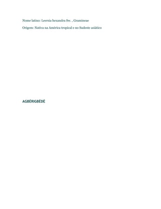 Nome latino: Leersia hexandra Sw. , Gramineae
Origem: Nativa na América tropical e no Sudeste asiático
AGBÉRIGBÉDÈ
 