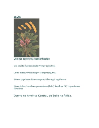 ÀPÀPÓ
Uso nos terreiros: Desconhecido
Uso em Ifá: Apenas citada (Verger 1995:691)
Outro nome yorùbá: ìpàpó. (Verger 1995:691)
Nomes populares: Pau-carrapato, falso-ingá, ingá-bravo
Nome latino: Lonchocarpus sericeus (Poir.) Kunth ex DC, Leguminosae
faboideae
Ocorre na América Central, do Sul e na África.
 