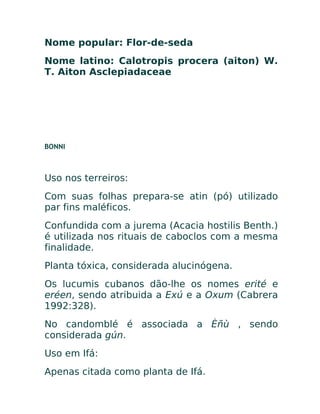 Nome popular: Flor-de-seda
Nome latino: Calotropis procera (aiton) W.
T. Aiton Asclepiadaceae
BONNI
Uso nos terreiros:
Com suas folhas prepara-se atin (pó) utilizado
par fins maléficos.
Confundida com a jurema (Acacia hostilis Benth.)
é utilizada nos rituais de caboclos com a mesma
finalidade.
Planta tóxica, considerada alucinógena.
Os lucumis cubanos dão-lhe os nomes erité e
eréen, sendo atribuida a Exú e a Oxum (Cabrera
1992:328).
No candomblé é associada a Èñù , sendo
considerada gún.
Uso em Ifá:
Apenas citada como planta de Ifá.
 