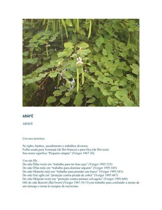 ABÀFÉ
ABÀFÉ
Uso nos terreiros:
No àgbo, banhos, sacudimento e trabalhos diversos.
Folha usada para Yemanjá (de flor branca) e para Oya (de flor rosa)
Seu nome significa “Pequeno chapéu” (Verger 1967:10).
Uso em Ifá:
Do odu Òfún ìwòrì em “trabalho para ter boa caça” (Verger 1995:335)
Do odu Òfún méjì em “trabalho para dominar alguém” (Verger 1995:345)
Do odú Okànràn méjì em “trabalho para prender um louco” (Verger 1995:383).
Do odu Osé ogbè em “proteção contra picada de cobra” (Verger 1995:447)
Do odu Okànràn ìwòrì em “proteção contra animais selvagens” (Verger 1995:449)
Ofó do odu Ìkáwòrì (Ìká Ìwòrì) (Verger 1967:10-11) em trabalho para confundir a mente de
um inimigo e torna-lo incapaz de raciocinar.
 