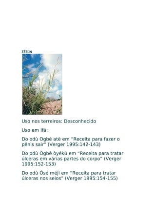 EÈSÚN
Uso nos terreiros: Desconhecido
Uso em Ifá:
Do odù Ogbè atè em “Receita para fazer o
pênis sair” (Verger 1995:142-143)
Do odù Ogbè òyékú em “Receita para tratar
úlceras em várias partes do corpo” (Verger
1995:152-153)
Do odù Òsé méjì em “Receita para tratar
úlceras nos seios” (Verger 1995:154-155)
 