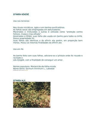 EFÍNRÍN KÉKÉRÉ
Uso nos terreiros:
Nos rituais iniciáticos, àgbo e em banhos purificatórios.
As folhas secas são empregadas em defumadores.
Maceradas e misturadas a outras é utilizada como “proteção contra
feitiços, inveja e mau-olhado”.
Associadas a Òñàlá, suas folha são usada em banho para todos os òrìñà.
Possui propriedade îrû.
Suas folhas são identicas a do efínrín ata porém, em proporção bem
menos. Possui as mesmas finalidades do efínrín ata.
Uso em Ifá:
Ao banho feito com suas folhas, adiciona-se o ìyîròsùn onde foi riscado e
recitado o
odu Èjìogbè, com a finalidade de conseguir um amor.
Nomes populares: Manjericão-de-folha-miuda
Nome latino: Ocimum minimum L., Labiatae
Postado por Eduardo Abiodun às 14:05
EFÍNRÍN NLÄ
 