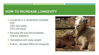 HOW TO INCREASE LONGEVITY
 Longevity is a moderately heritable
trait
33% Iran study
27% UK study
 No early life trait that facilitates
indirect selection
 Correlation with body weight
 Future - develop EBVs for longevity
 