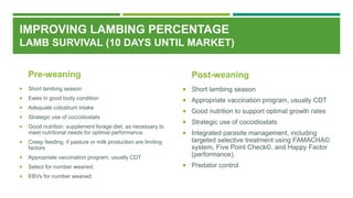 IMPROVING LAMBING PERCENTAGE
LAMB SURVIVAL (10 DAYS UNTIL MARKET)
Pre-weaning
 Short lambing season
 Ewes in good body condition
 Adequate colostrum intake
 Strategic use of coccidiostats
 Good nutrition: supplement forage diet, as necessary to
meet nutritional needs for optimal performance.
 Creep feeding, if pasture or milk production are limiting
factors
 Appropriate vaccination program, usually CDT
 Select for number weaned.
 EBVs for number weaned.
Post-weaning
 Short lambing season
 Appropriate vaccination program, usually CDT
 Good nutrition to support optimal growth rates
 Strategic use of coccidiostats
 Integrated parasite management, including
targeted selective treatment using FAMACHA©
system, Five Point Check©, and Happy Factor
(performance).
 Predator control
 