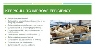 KEEP/CULL TO IMPROVE EFFICIENCY
 Use parasite resistant rams
 Cull ewes that require (frequent) deworming or are
heavy egg shedders.
 Cull animals that require frequent hoof trimming
 Cull animals with re-occurring hoof problems.
 Cull animals that don’t respond to treatment for
hoof diseases.
 Favor animals with dark-colored hooves (?)
 Cull animals that require shearing
 Cull ewes that require assistance at lambing.
 Cull any animal that fails to thrive.
 Cull animals with behavior problems.
 