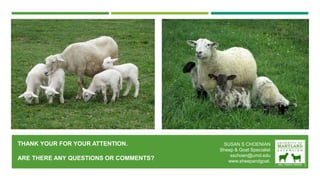 THANK YOUR FOR YOUR ATTENTION.
ARE THERE ANY QUESTIONS OR COMMENTS?
SUSAN S CHOENIAN
Sheep & Goat Specialist
sschoen@umd.edu
www.sheepandgoat.
 