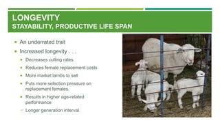 LONGEVITY
STAYABILITY, PRODUCTIVE LIFE SPAN
 An underrated trait
 Increased longevity . . .
 Decreases culling rates
 Reduces female replacement costs
 More market lambs to sell
 Puts more selection pressure on
replacement females.
 Results in higher age-related
performance
 Longer generation interval.
 