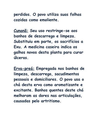 perdidos. O povo utiliza suas folhas
cozidas como emoliente.
Cunanã: Seu uso restringe-se aos
banhos de descarrego e limpeza.
Substituiu em parte, os sacrifícios a
Exu. A medicina caseira indica os
galhos novos desta planta para curar
úlceras.
Erva-preá: Empregada nos banhos de
limpeza, descarrego, sacudimentos
pessoais e domiciliares. O povo usa o
chá desta erva como aromatizante e
excitante. Banhos quentes deste chá
melhoram as dores nas articulações,
causadas pelo artritismo.
 