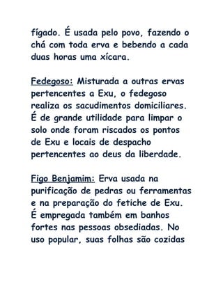 fígado. É usada pelo povo, fazendo o
chá com toda erva e bebendo a cada
duas horas uma xícara.
Fedegoso: Misturada a outras ervas
pertencentes a Exu, o fedegoso
realiza os sacudimentos domiciliares.
É de grande utilidade para limpar o
solo onde foram riscados os pontos
de Exu e locais de despacho
pertencentes ao deus da liberdade.
Figo Benjamim: Erva usada na
purificação de pedras ou ferramentas
e na preparação do fetiche de Exu.
É empregada também em banhos
fortes nas pessoas obsediadas. No
uso popular, suas folhas são cozidas
 