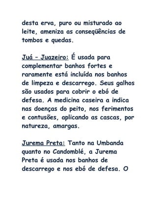 desta erva, puro ou misturado ao
leite, ameniza as conseqüências de
tombos e quedas.
Juá – Juazeiro: É usada para
complementar banhos fortes e
raramente está incluída nos banhos
de limpeza e descarrego. Seus galhos
são usados para cobrir o ebó de
defesa. A medicina caseira a indica
nas doenças do peito, nos ferimentos
e contusões, aplicando as cascas, por
natureza, amargas.
Jurema Preta: Tanto na Umbanda
quanto no Candomblé, a Jurema
Preta é usada nos banhos de
descarrego e nos ebó de defesa. O
 