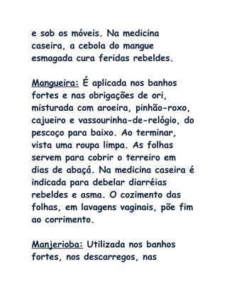 e sob os móveis. Na medicina
caseira, a cebola do mangue
esmagada cura feridas rebeldes.
Mangueira: É aplicada nos banhos
fortes e nas obrigações de ori,
misturada com aroeira, pinhão-roxo,
cajueiro e vassourinha-de-relógio, do
pescoço para baixo. Ao terminar,
vista uma roupa limpa. As folhas
servem para cobrir o terreiro em
dias de abaçá. Na medicina caseira é
indicada para debelar diarréias
rebeldes e asma. O cozimento das
folhas, em lavagens vaginais, põe fim
ao corrimento.
Manjerioba: Utilizada nos banhos
fortes, nos descarregos, nas
 