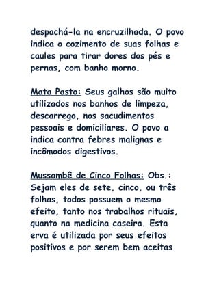despachá-la na encruzilhada. O povo
indica o cozimento de suas folhas e
caules para tirar dores dos pés e
pernas, com banho morno.
Mata Pasto: Seus galhos são muito
utilizados nos banhos de limpeza,
descarrego, nos sacudimentos
pessoais e domiciliares. O povo a
indica contra febres malignas e
incômodos digestivos.
Mussambê de Cinco Folhas: Obs.:
Sejam eles de sete, cinco, ou três
folhas, todos possuem o mesmo
efeito, tanto nos trabalhos rituais,
quanto na medicina caseira. Esta
erva é utilizada por seus efeitos
positivos e por serem bem aceitas
 