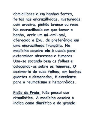 domiciliares e em banhos fortes,
feitos nas encruzilhadas, misturadas
com aroeira, pinhão branco ou roxo.
Na encruzilhada em que tomar o
banho, arrie um mi-ami-ami,
oferecido a Exu, de preferência em
uma encruzilhada tranqüila. Na
medicina caseira ela é usada para
exterminar abscessos e tumores.
Usa-se socando bem as folhas e
colocando-as sobre os tumores. O
cozimento de suas folhas, em banhos
quentes e demorados, é excelente
para o reumatismo e hemorróidas.
Picão da Praia: Não possui uso
ritualístico. A medicina caseira o
indica como diurético e de grande
 