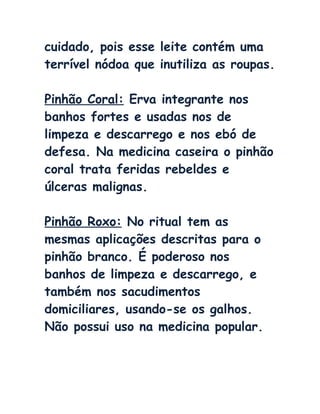 cuidado, pois esse leite contém uma
terrível nódoa que inutiliza as roupas.
Pinhão Coral: Erva integrante nos
banhos fortes e usadas nos de
limpeza e descarrego e nos ebó de
defesa. Na medicina caseira o pinhão
coral trata feridas rebeldes e
úlceras malignas.
Pinhão Roxo: No ritual tem as
mesmas aplicações descritas para o
pinhão branco. É poderoso nos
banhos de limpeza e descarrego, e
também nos sacudimentos
domiciliares, usando-se os galhos.
Não possui uso na medicina popular.
 