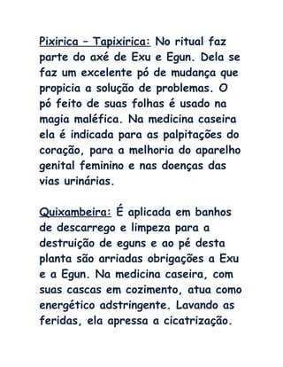 Pixirica – Tapixirica: No ritual faz
parte do axé de Exu e Egun. Dela se
faz um excelente pó de mudança que
propicia a solução de problemas. O
pó feito de suas folhas é usado na
magia maléfica. Na medicina caseira
ela é indicada para as palpitações do
coração, para a melhoria do aparelho
genital feminino e nas doenças das
vias urinárias.
Quixambeira: É aplicada em banhos
de descarrego e limpeza para a
destruição de eguns e ao pé desta
planta são arriadas obrigações a Exu
e a Egun. Na medicina caseira, com
suas cascas em cozimento, atua como
energético adstringente. Lavando as
feridas, ela apressa a cicatrização.
 