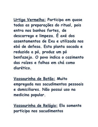 Urtiga Vermelha: Participa em quase
todas as preparações do ritual, pois
entra nos banhos fortes, de
descarrego e limpeza. É axé dos
assentamentos de Exu e utilizada nos
ebó de defesa. Esta planta socada e
reduzida a pó, produz um pó
benfazejo. O povo indica o cozimento
das raízes e folhas em chá como
diurético.
Vassourinha de Botão: Muito
empregada nos sacudimentos pessoais
e domiciliares. Não possui uso na
medicina popular.
Vassourinha de Relógio: Ela somente
participa nos sacudimentos
 