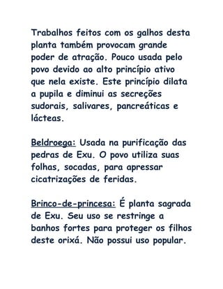 Trabalhos feitos com os galhos desta
planta também provocam grande
poder de atração. Pouco usada pelo
povo devido ao alto princípio ativo
que nela existe. Este princípio dilata
a pupila e diminui as secreções
sudorais, salivares, pancreáticas e
lácteas.
Beldroega: Usada na purificação das
pedras de Exu. O povo utiliza suas
folhas, socadas, para apressar
cicatrizações de feridas.
Brinco-de-princesa: É planta sagrada
de Exu. Seu uso se restringe a
banhos fortes para proteger os filhos
deste orixá. Não possui uso popular.
 
