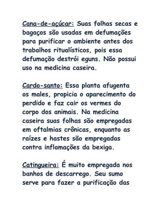 Cana-de-açúcar: Suas folhas secas e
bagaços são usadas em defumações
para purificar o ambiente antes dos
trabalhos ritualísticos, pois essa
defumação destrói eguns. Não possui
uso na medicina caseira.
Cardo-santo: Essa planta afugenta
os males, propicia o aparecimento do
perdido e faz cair os vermes do
corpo dos animais. Na medicina
caseira suas folhas são empregadas
em oftalmias crônicas, enquanto as
raízes e hastes são empregadas
contra inflamações da bexiga.
Catingueira: É muito empregada nos
banhos de descarrego. Seu sumo
serve para fazer a purificação das
 