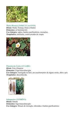Malva Branca (ÀSIKÙTÀ ou EFIN)
Orisás: Osalá, Yemoja, Osun e Osòósi
Elementos: ar/feminino/èrò
Uso Litúrgico: agbos, banhos purificatórios, iniciações.
Terapêutica: emoliente, contra picadas de vespas.




Pimenta da Costa (ATAARE)
Orisás: Esú e Osanyin
Elementos: Fogo/masculino/gùn
Uso Litúrgico: mastigado no bori, em assentamentos de alguns orisás, ebós e pós.
Terapêutica: desconhecida.




Sabugueiro (ÀTÒRÌNÀ)
Orisás: Omolú
Elementos: fogo/masculino/gùn
Uso Litúrgico: Rituais de iniciação, oferendas e banhos purificatórios.
 
