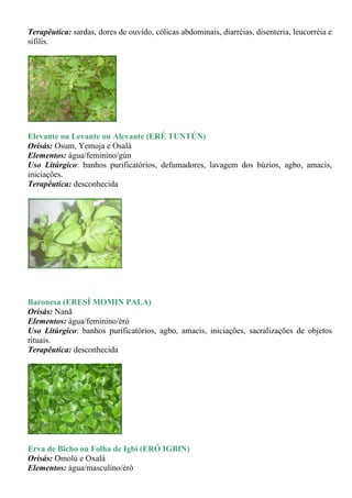 Terapêutica: sardas, dores de ouvido, cólicas abdominais, diarréias, disenteria, leucorréia e
sífilis.




Elevante ou Levante ou Alevante (ERÉ TUNTÚN)
Orisás: Osum, Yemoja e Osalá
Elementos: água/feminino/gùn
Uso Litúrgico: banhos purificatórios, defumadores, lavagem dos búzios, agbo, amacis,
iniciações.
Terapêutica: desconhecida




Baronesa (ERESÍ MOMIN PALA)
Orisás: Nanã
Elementos: água/feminino/èrò
Uso Litúrgico: banhos purificatórios, agbo, amacis, iniciações, sacralizações de objetos
rituais.
Terapêutica: desconhecida




Erva de Bicho ou Folha de Igbi (ERÓ IGBIN)
Orisás: Omolú e Oxalá
Elementos: água/masculino/èrò
 