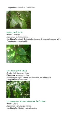 Terapêutica: diurético e cicatrizante.




Jibóia (EWÉ DAN)
Orisás: Osumaré
Elementos: ar/feminino/gùn
Uso Litúrgico: rituais de iniciação, debaixo de esteiras (casas de jeje).
Terapêutica: desconhecida




Erva Prata (EWÉ DÍGÍ)
Orisás: Oyá, Yemoja e Osalá
Elementos: ar/masculino/gùn
Uso Litúrgico: agbo, banhos purificatórios, sacudimentos.
Terapêutica: desconhecida




Erva Moura ou Maria Preta (EWÉ ÈGÙNMÒ)
Orisás: Omolú
Elementos: terra/masculino/gùn
Uso Litúrgico: Banhos e sacudimentos.
 