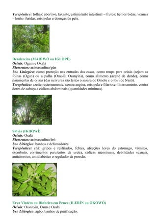 Terapêutica: folhas: abortivo, laxante, estimulante intestinal – frutos: hemorróidas, vermes
– lenho: feridas, erisipelas e doenças de pele.




Dendezeiro (MÀRÌWÓ ou IGI ÒPÈ)
Orisás: Ogum e Oxalá
Elementos: ar/masculino/gùn
Uso Litúrgico: como proteção nas entradas das casas, como roupa para orisás (sejam as
folhas (Ogun) ou a palha (Omolú, Osanyin)), como alimento (azeite de dende), como
paramentas de orisas (das nervuras são feitos o sasara de Omolu e o ibiri de Nanã).
Terapêutica: azeite: externamente, contra angina, erisipela e filariose. Internamente, contra
dores de cabeça e cólicas abdominais (quantidades mínimas).




Salvia (IKIRIWÍ)
Orisás: Osalá
Elementos: ar/masculino/èrò
Uso Litúrgico: banhos e defumadores.
Terapêutica: chá: gripes e resfriados, febres, afecções leves do estomago, vômitos,
escorbuto, corrimentos purulentos da uretra, cólicas menstruais, debilidades sexuais,
antiabortivo, antidiabético e regulador da pressão.




Erva Vintém ou Dinheiro em Penca (ILERÍN ou OKÓWÓ)
Orisás: Ossanyin, Osun e Osalá
Uso Litúrgico: agbo, banhos de purificação.
 
