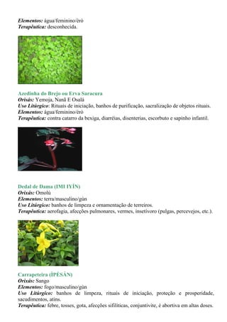 Elementos: água/feminino/èrò
Terapêutica: desconhecida.




Azedinha do Brejo ou Erva Saracura
Orisás: Yemoja, Nanã E Osalá
Uso Litúrgico: Rituais de iniciação, banhos de purificação, sacralização de objetos rituais.
Elementos: água/feminino/èrò
Terapêutica: contra catarro da bexiga, diarréias, disenterias, escorbuto e sapinho infantil.




Dedal de Dama (IMI IYÍN)
Orixás: Omolú
Elementos: terra/masculino/gùn
Uso Litúrgico: banhos de limpeza e ornamentação de terreiros.
Terapêutica: aerofagia, afecções pulmonares, vermes, insetívoro (pulgas, percevejos, etc.).




Carrapeteira (ÌPÈSÁN)
Orixás: Sango
Elementos: fogo/masculino/gùn
Uso Litúrgico: banhos de limpeza, rituais de iniciação, proteção e prosperidade,
sacudimentos, atins.
Terapêutica: febre, tosses, gota, afecções sifilíticas, conjuntivite, é abortiva em altas doses.
 