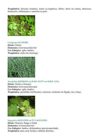 Terapêutica: afecções urinárias, renais ou hepáticas, febres, dores na coluna, abscessos,
furúnculos, inflamações e manchas na pele.




Carqueja (KÀNÉRÌ)
Orisás: Osòósi
Elementos: terra/masculino/èrò
Uso Litúrgico: agbo, banhos.
Terapêutica: males do estomago.




Jurubeba (KISIKISI ou IGBÁ IGÚN ou IGBÁ ÀJÀ)
Orisás: Osòósi e Osanyin
Elementos: terra/masculino/gùn
Uso Litúrgico: agbo, banhos.
Terapêutica: garrafadas fortificantes, icterícias, moléstias do fígado, rins e baço.




Ingazeiro (KOLOMI ou ÌYÁ KOLOMI)
Orisás: Osanyin, Sango e Osalá
Elementos: ar/masculino/èrò
Uso Litúrgico: banhos, defumadores para prosperidade.
Terapêutica: para curar feridas e debelar diarréias.
 