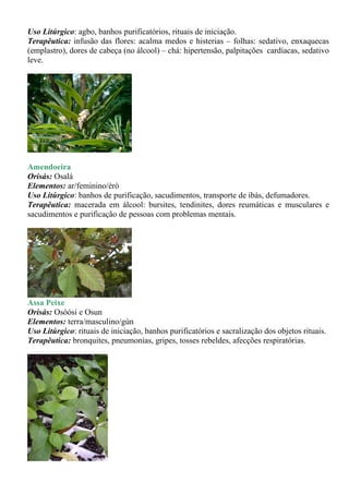 Uso Litúrgico: agbo, banhos purificatórios, rituais de iniciação.
Terapêutica: infusão das flores: acalma medos e histerias – folhas: sedativo, enxaquecas
(emplastro), dores de cabeça (no álcool) – chá: hipertensão, palpitações cardíacas, sedativo
leve.




Amendoeira
Orisás: Osalá
Elementos: ar/feminino/èrò
Uso Litúrgico: banhos de purificação, sacudimentos, transporte de ibás, defumadores.
Terapêutica: macerada em álcool: bursites, tendinites, dores reumáticas e musculares e
sacudimentos e purificação de pessoas com problemas mentais.




Assa Peixe
Orisás: Osòósi e Osun
Elementos: terra/masculino/gùn
Uso Litúrgico: rituais de iniciação, banhos purificatórios e sacralização dos objetos rituais.
Terapêutica: bronquites, pneumonias, gripes, tosses rebeldes, afecções respiratórias.
 