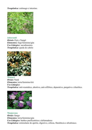 Terapêutica: estômago e intestino.




Jaborandi
Orixás: Oyá e Xangô
Elementos: fogo/feminino/gùn
Uso Litúrgico: sacudimentos
Terapêutica: queda de cabelo




Manacá
Orisás: Nanã
Elementos: terra/feminino/èrò
Uso Litúrgico:
Terapêutica: anti-reumático, abortivo, anti-sifilítico, depurativo, purgativo e diurético.




Manjerona
Orisás: Sango
Elementos: terra/feminino/gùn
Uso Litúrgico: banhos purificatórios e defumadores
Terapêutica: estimulante do apetite, digestivo, cólicas, flatulência e afrodisíaco.
 